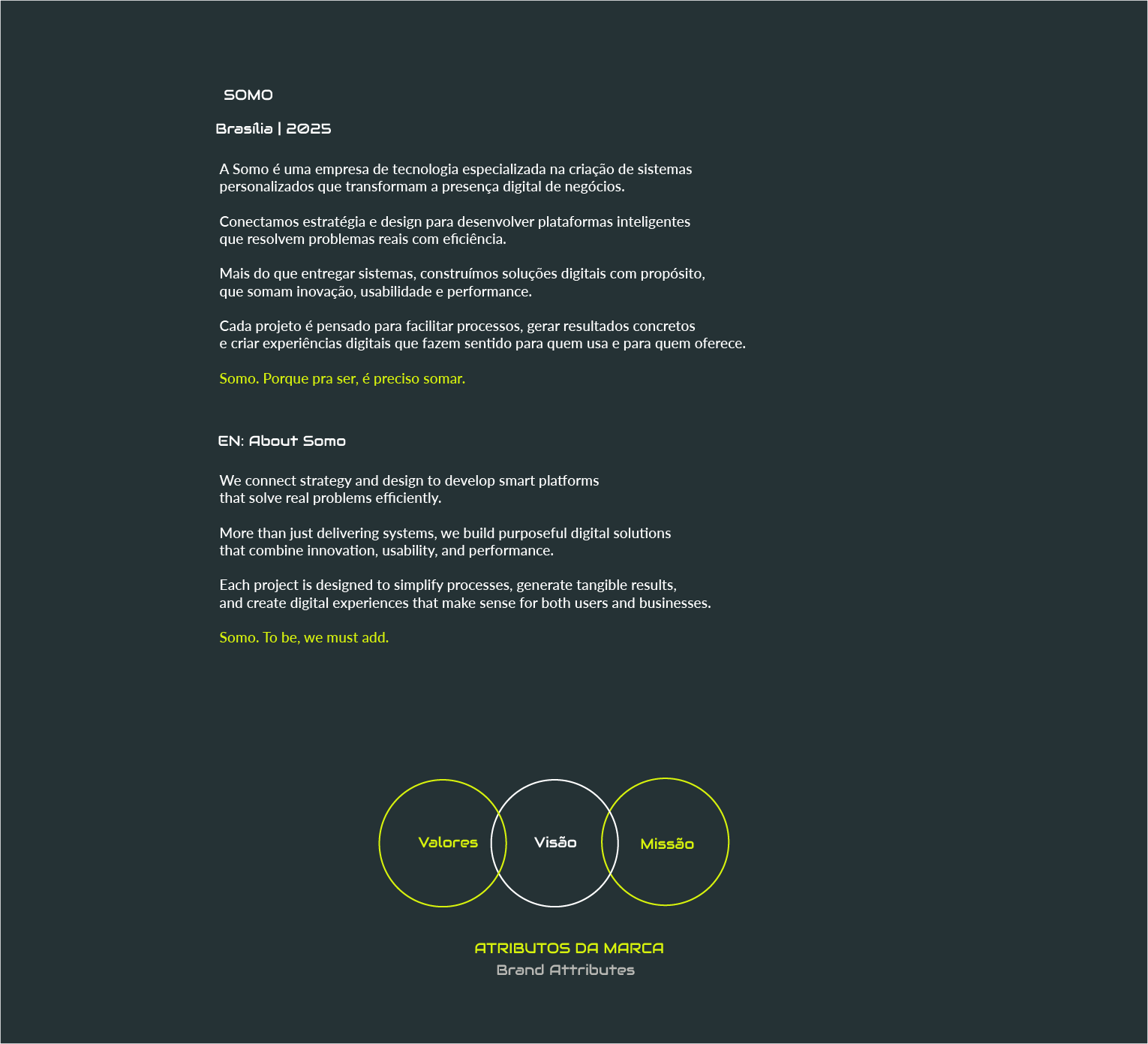 Painel de brand attributes: valores, visão e missão da Somo